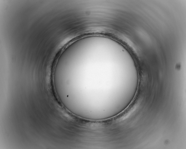 X0000102410778200808152004