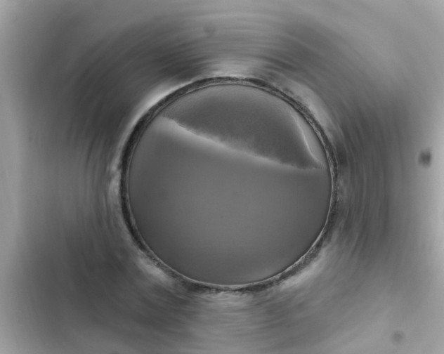 X0000102410779200808152004