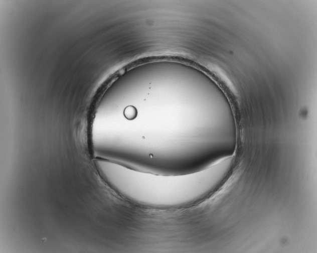 X0000102410781200808152004