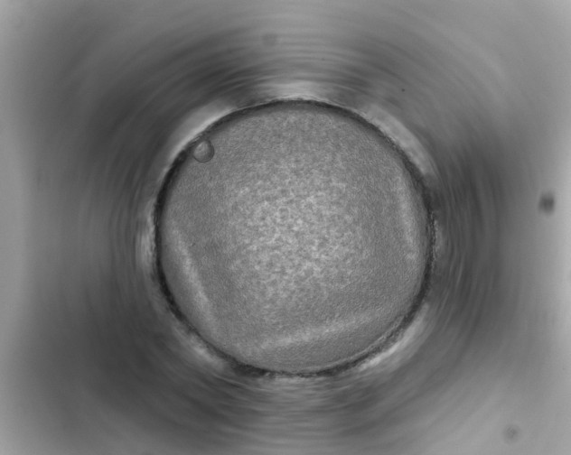 X0000102410782200808152004