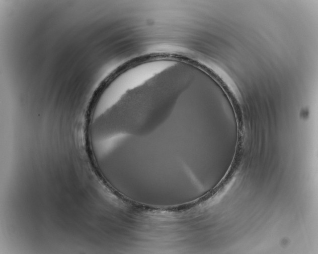 X0000102410783200808152004