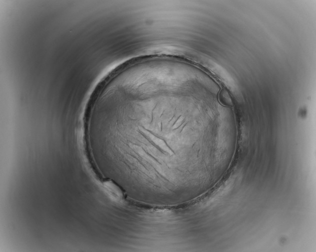 X0000102410784200808152004