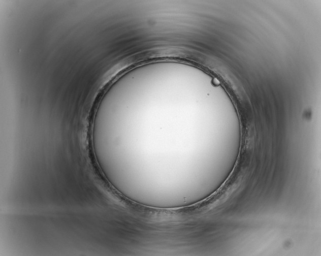 X0000102410786200808152004