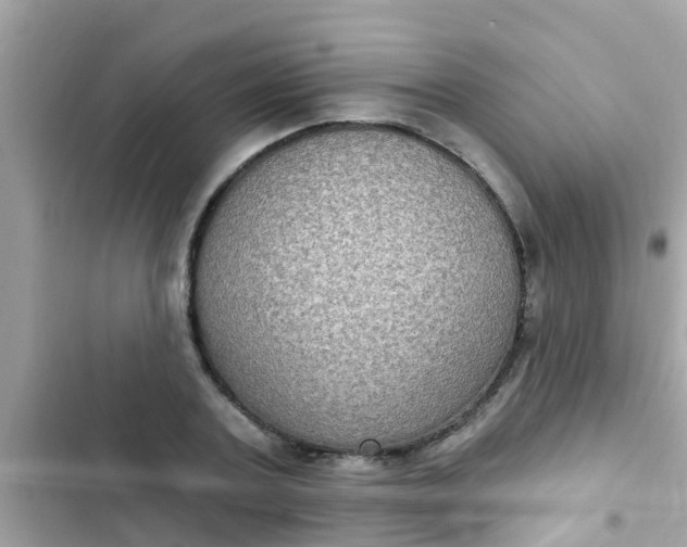 X0000102410787200808152004