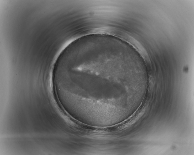 X0000102410788200808152004