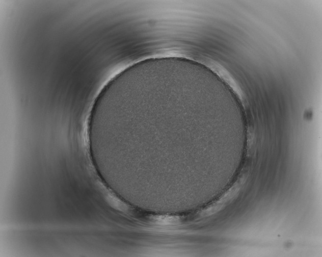 X0000102410789200808152004