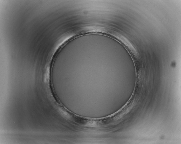 X0000102410790200808152004