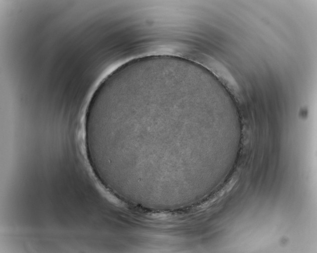 X0000102410792200808152004