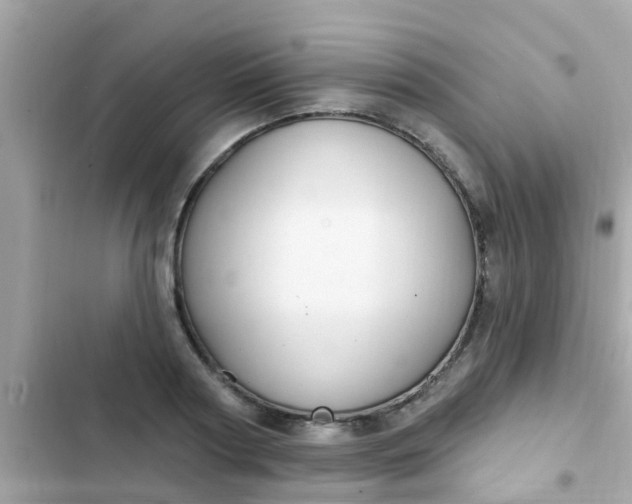 X0000102410794200808152004