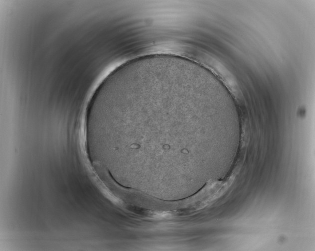 X0000102410796200808152004