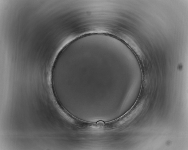 X0000102410797200808152004