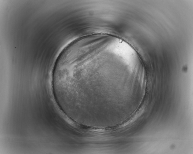 X0000102410798200808152004