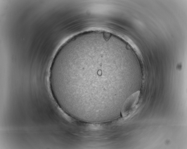 X0000102410799200808152004