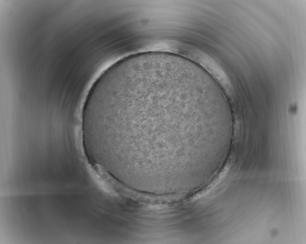 X0000102410800200808152004