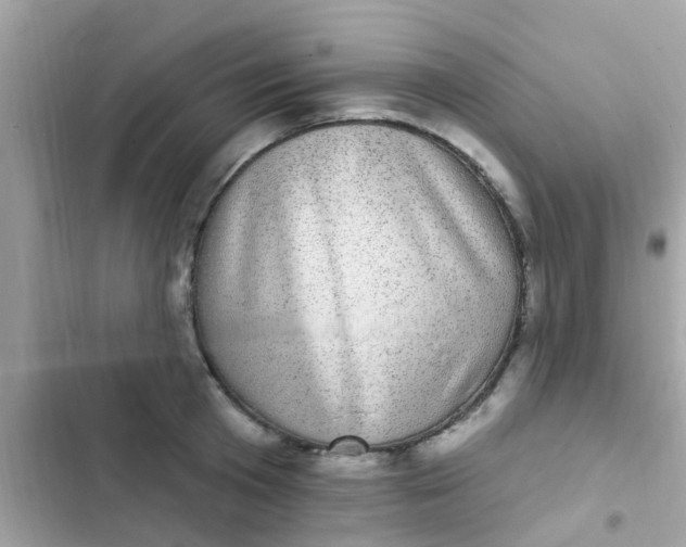 X0000102410801200808152004