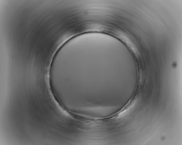 X0000102410802200808152004