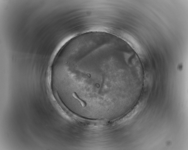 X0000102410804200808152004