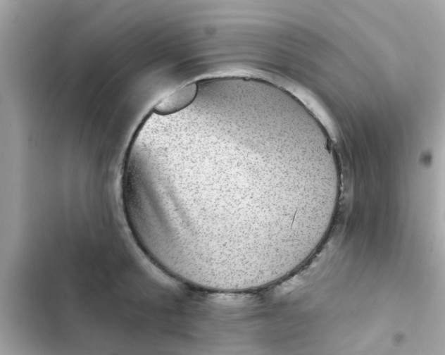 X0000102410805200808152004