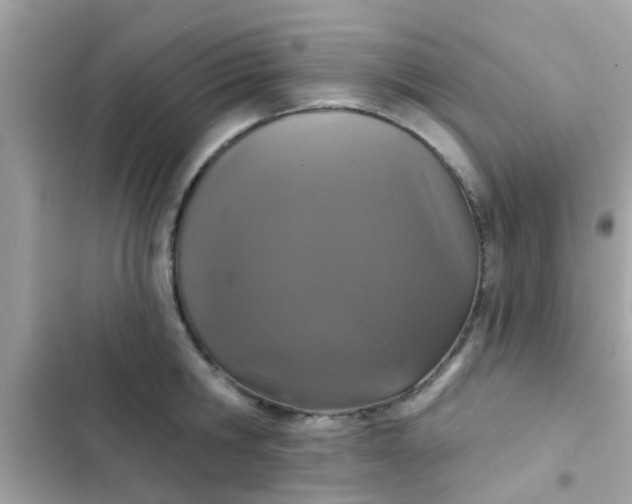 X0000102410806200808152004