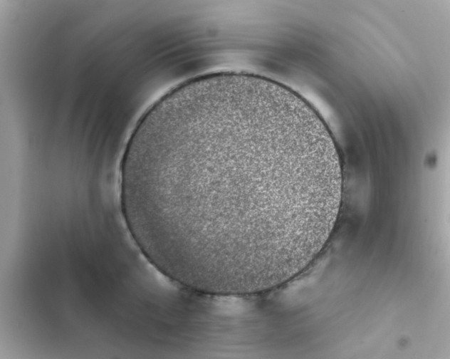 X0000102410807200808152004