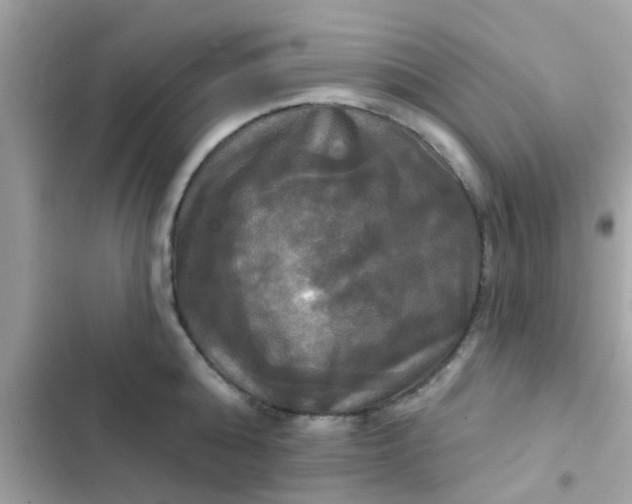 X0000102410808200808152004