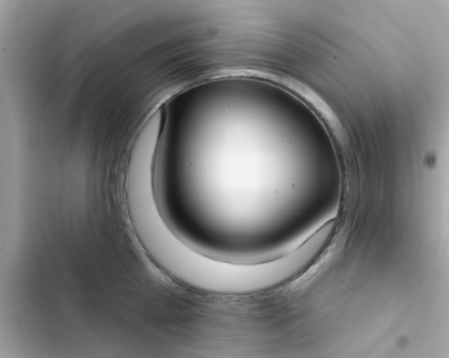 X0000102410809200808152004