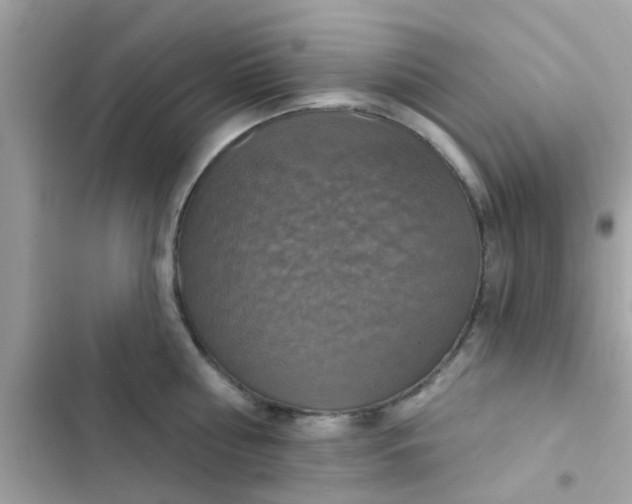 X0000102410810200808152004