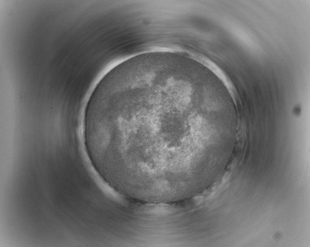 X0000102410811200808152004