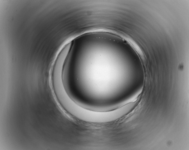 X0000102410813200808152004