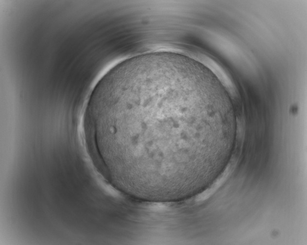 X0000102410814200808152004