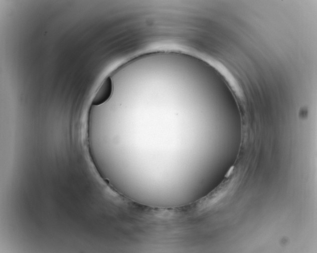 X0000102410815200808152004