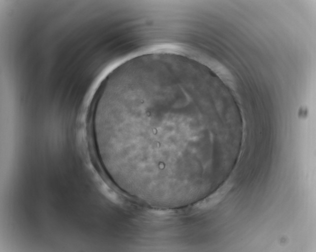 X0000102410816200808152004