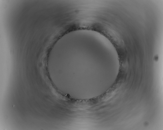 X0000102410817200808152003