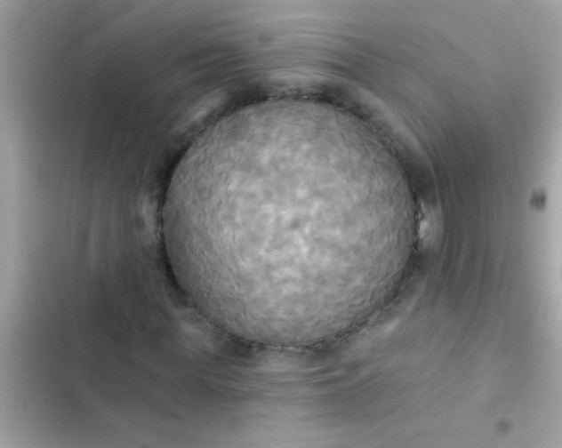 X0000102410819200808152003