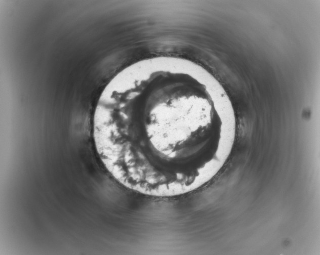 X0000102410820200808152003