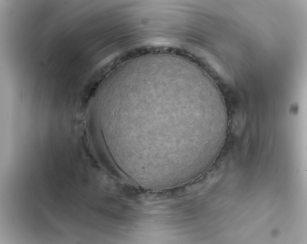 X0000102410821200808152003