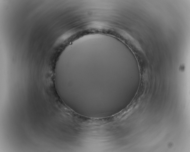 X0000102410822200808152003