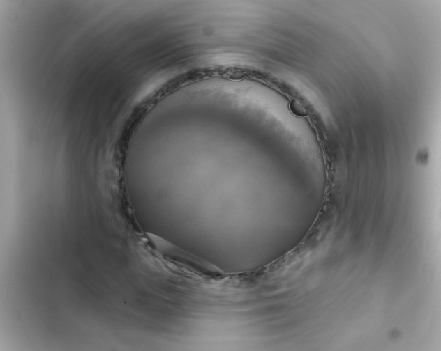 X0000102410823200808152003