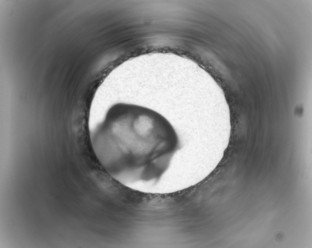 X0000102410824200808152003