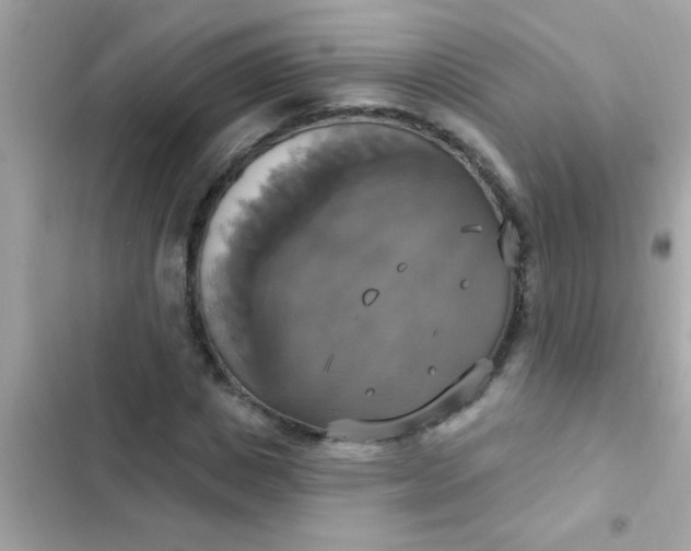 X0000102410825200808152003