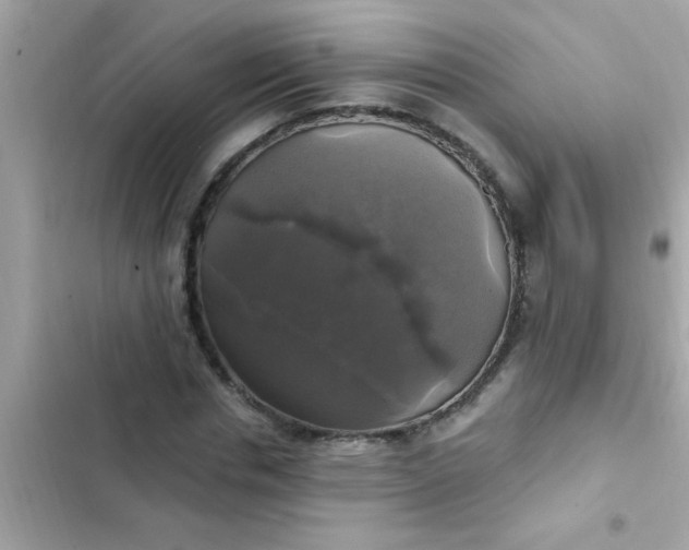 X0000102410826200808152003