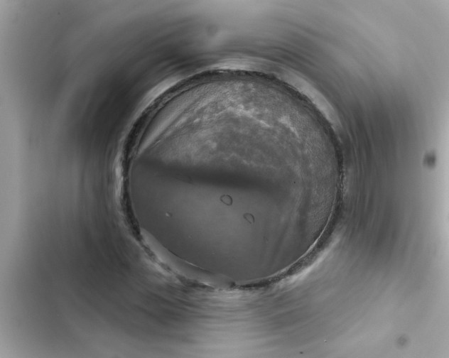 X0000102410829200808152003