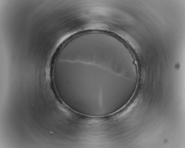 X0000102410830200808152003