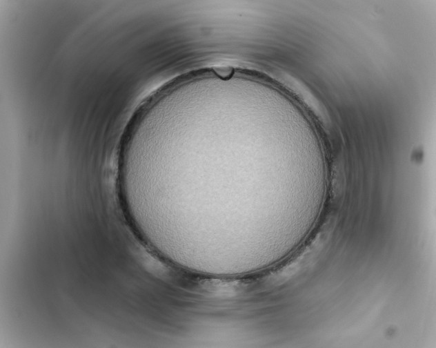 X0000102410831200808152003