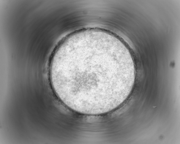 X0000102410832200808152003