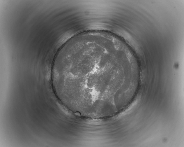 X0000102410833200808152003