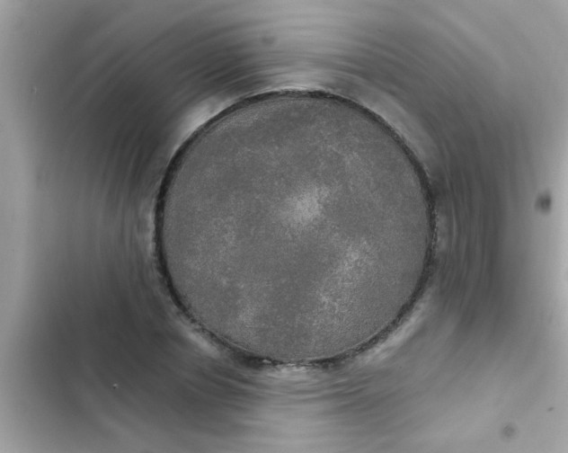 X0000102410834200808152003