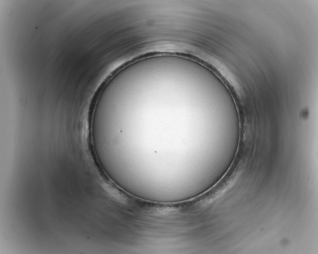 X0000102410837200808152003