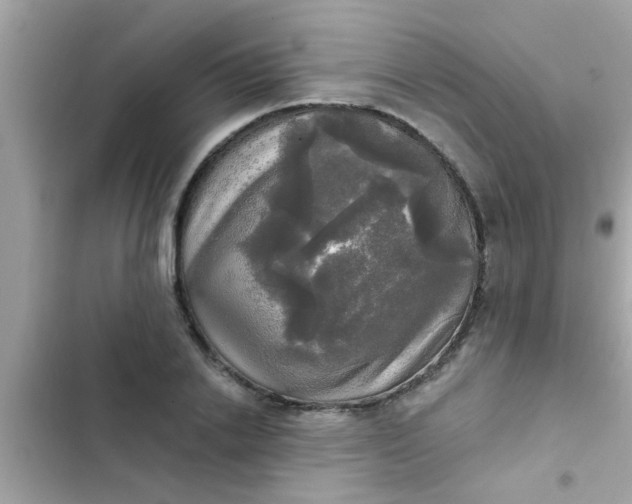 X0000102410838200808152003