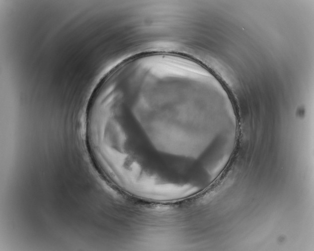 X0000102410839200808152003